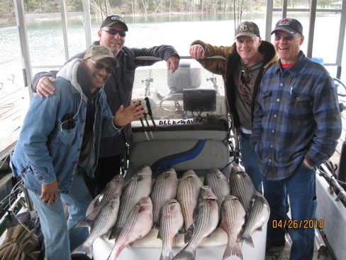 Nice Striped Bass